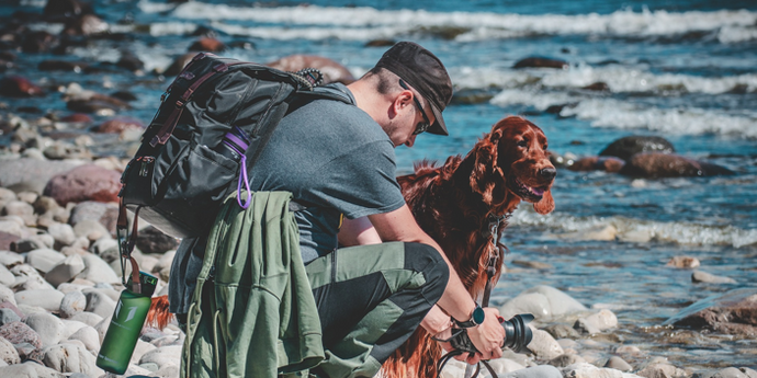 Hiking with Dogs and Cats: An Adventure for the Whole Family
