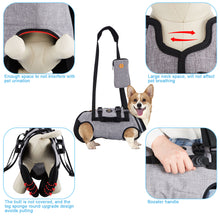 Cargar imagen en el visor de la galería, Ownpets Full Body Support Dog Lift Harness for Spine Protection, M