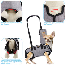 Load image into Gallery viewer, Ownpets Full Body Support Dog Lift Harness for Spine Protection, S
