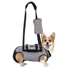 Cargar imagen en el visor de la galería, Ownpets Full Body Support Dog Lift Harness for Spine Protection, M