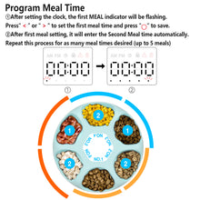 Load image into Gallery viewer, Ownpets 6 Meals Automatic Cat Feeder for Wet/Dry Food, with 2 Ice Packs
