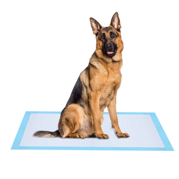 Pet Potty Training Pads