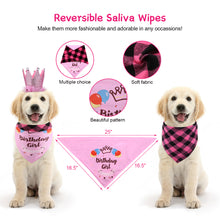 Load image into Gallery viewer, Ownpets Cute Dog Birthday Outfit Set, Princess Puppy Tutu Skirt with Pink Crown, Pearl Necklace, Double Sided Saliva Towel & Birthday Banner for Puppy, Dog, Cat Girl Birthday Parties