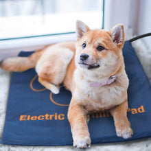 Carica l'immagine nel visualizzatore di Gallery, Ownpets Pet Heating Pad, 23.6 x15.7inches