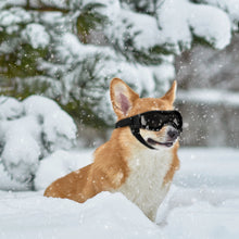 Charger l'image dans la galerie, Ownpets Dog Goggles Lunettes de soleil pour chien pour petits et moyens chiens Noir