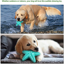 Load image into Gallery viewer, Ownpets Dog Chew Toy, Starfish Squeaky Teeth Cleaning Chew Toy for Puppies, Small &amp; Medium Dogs - Blue
