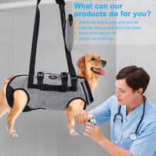 Cargar imagen en el visor de la galería, Ownpets Dog Sling Harness, Outdoor Sling Bag for Spine Protection, Whole Body Support, Support Vest to Assist Aged Dogs, Outdoor (XXL)