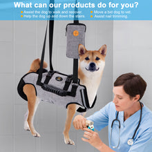 Cargar imagen en el visor de la galería, Ownpets Dog Sling Harness,Support Vest to Assist Aged Dogs, Outdoor (XL)