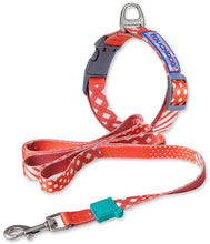 Load image into Gallery viewer, 2-in-1 Matching Fashion Designer Printed Dog Leash and Collar
