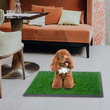 Load image into Gallery viewer, Puppy Dog Pet Potty Training Pee Grass Pad Mat House Toilet Indoor
