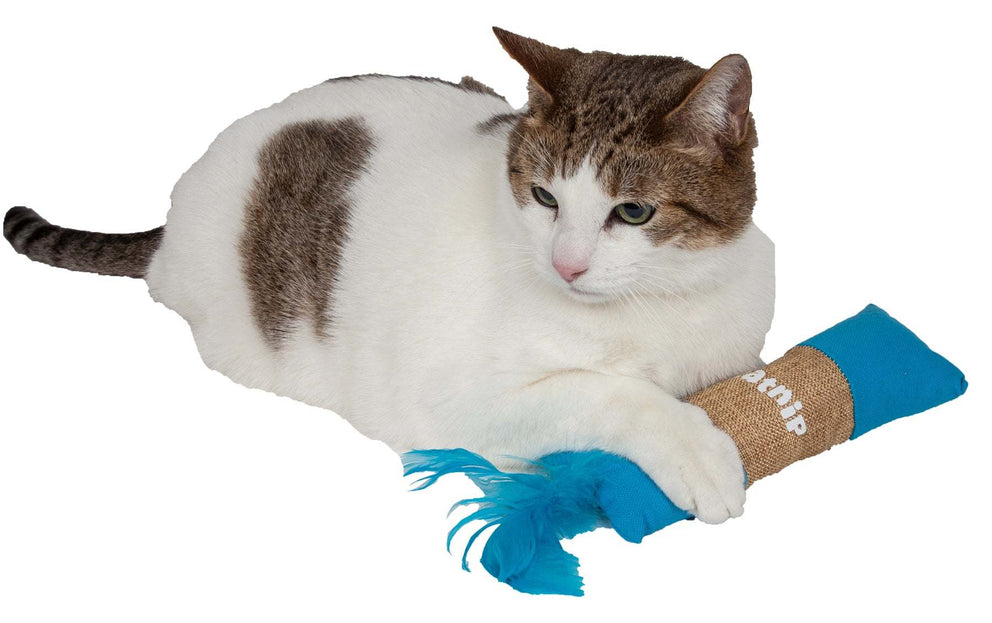 Rectangular Duffle Crinkle Plush Faux Fur Teaser Catnip Kitty Cat Toy