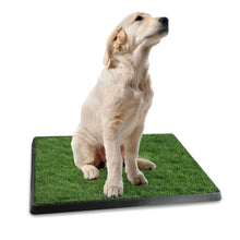 Load image into Gallery viewer, Dog Potty Training Artificial Grass Pad Pet Cat Toilet Trainer Mat Puppy Loo Tray Turf
