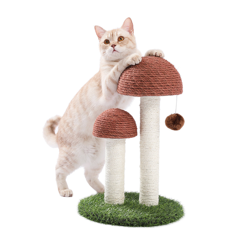 Cat Scratching Post Mushroom Claw Scratcher with Natural Sisal Ropes Interactive Dangling Ball for Kittens and Small Cats