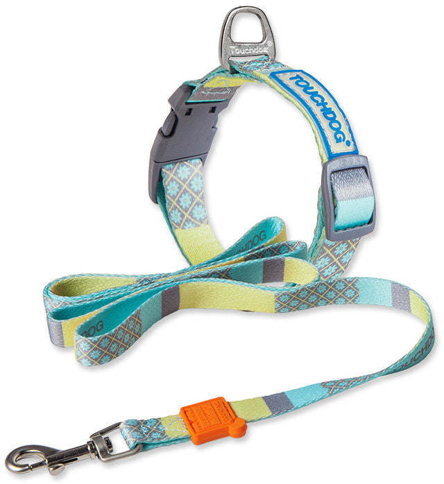 2-in-1 Matching Fashion Designer Printed Dog Leash and Collar