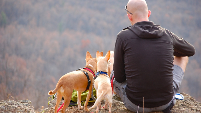 Hiking with Your Dog: Essential Tips for a Memorable Adventure
