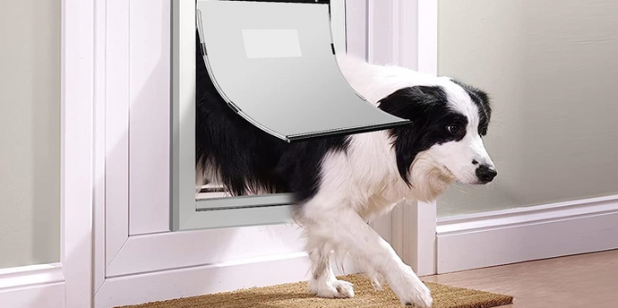 The Ultimate Guide to Pet Doors: How to Choose the Perfect Door & Other Considerations