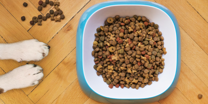 7 Tips to Keep Your Pet’s Food Fresh