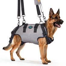 Carica l'immagine nel visualizzatore di Gallery, Ownpets Aged Dog Support Harness, Sling for Spine Protection, L Whole body support, breathable mesh, easy wear, mobility aid for stairs, outdoor walking
