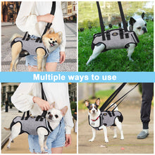 Carica l&#39;immagine nel visualizzatore di Gallery, Ownpets Full Body Support Dog Lift Harness for Spine Protection, XS
