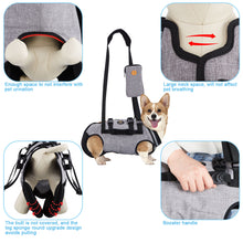 Carica l&#39;immagine nel visualizzatore di Gallery, Full Body Support Dog Lift Harness for Spine Protection, M
