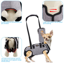 Load image into Gallery viewer, Full Body Support Dog Lift Harness for Spine Protection, S
