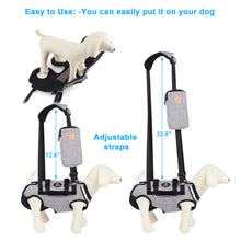 Cargar imagen en el visor de la galería, Full Body Support Dog Lift Harness for Spine Protection, M
