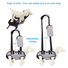 Cargar imagen en el visor de la galería, Ownpets Full Body Support Dog Lift Harness for Spine Protection, XS
