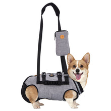 Load image into Gallery viewer, Full Body Support Dog Lift Harness for Spine Protection, M

