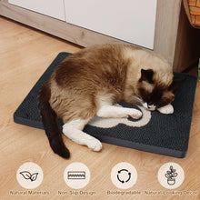 Cargar imagen en el visor de la galería, Ownpets Wall Cat Scratcher, Cute Vertical Cat Scratching Board, Wall Mounted Cat Scratch Pad for Wall, Glass, Wood, and Tile, Furniture Protector, Black
