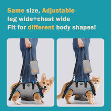 Load image into Gallery viewer, Ownpets Aged Dog Support Harness, Sling for Spine Protection, M Whole body support, breathable mesh, easy wear, mobility aid for stairs, outdoor walking
