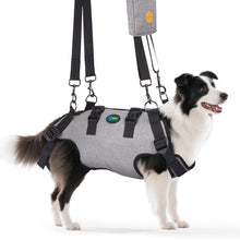 Load image into Gallery viewer, Ownpets Aged Dog Support Harness, Sling for Spine Protection, M Whole body support, breathable mesh, easy wear, mobility aid for stairs, outdoor walking
