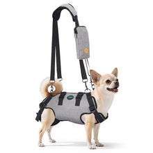 Charger l'image dans la galerie, Ownpets Aged Dog Support Harness, Sling for Spine Protection, XS Whole body support, breathable mesh, easy wear, mobility aid for stairs, outdoor walking
