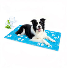 Cargar imagen en el visor de la galería, Ownpets Dog Cooling Mat, Portable Water-Filled Mat
