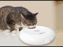Load and play video in Gallery viewer, Ownpets 6 Meals Automatic Cat Feeder for Wet/Dry Food, with 2 Ice Packs
