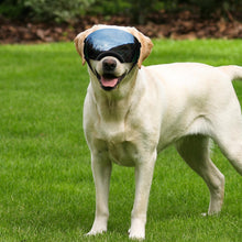 Lade das Bild in den Galerie-Viewer, Ownpets Magnetic Design Dog Goggles Hundesonnenbrille, für mittelgroße und große Hunde, Schwarz 
