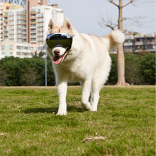 Lade das Bild in den Galerie-Viewer, 236 Ownpets Dog Sunglasses with Magnetic Lenses, Suitable for Medium or Large Dog
