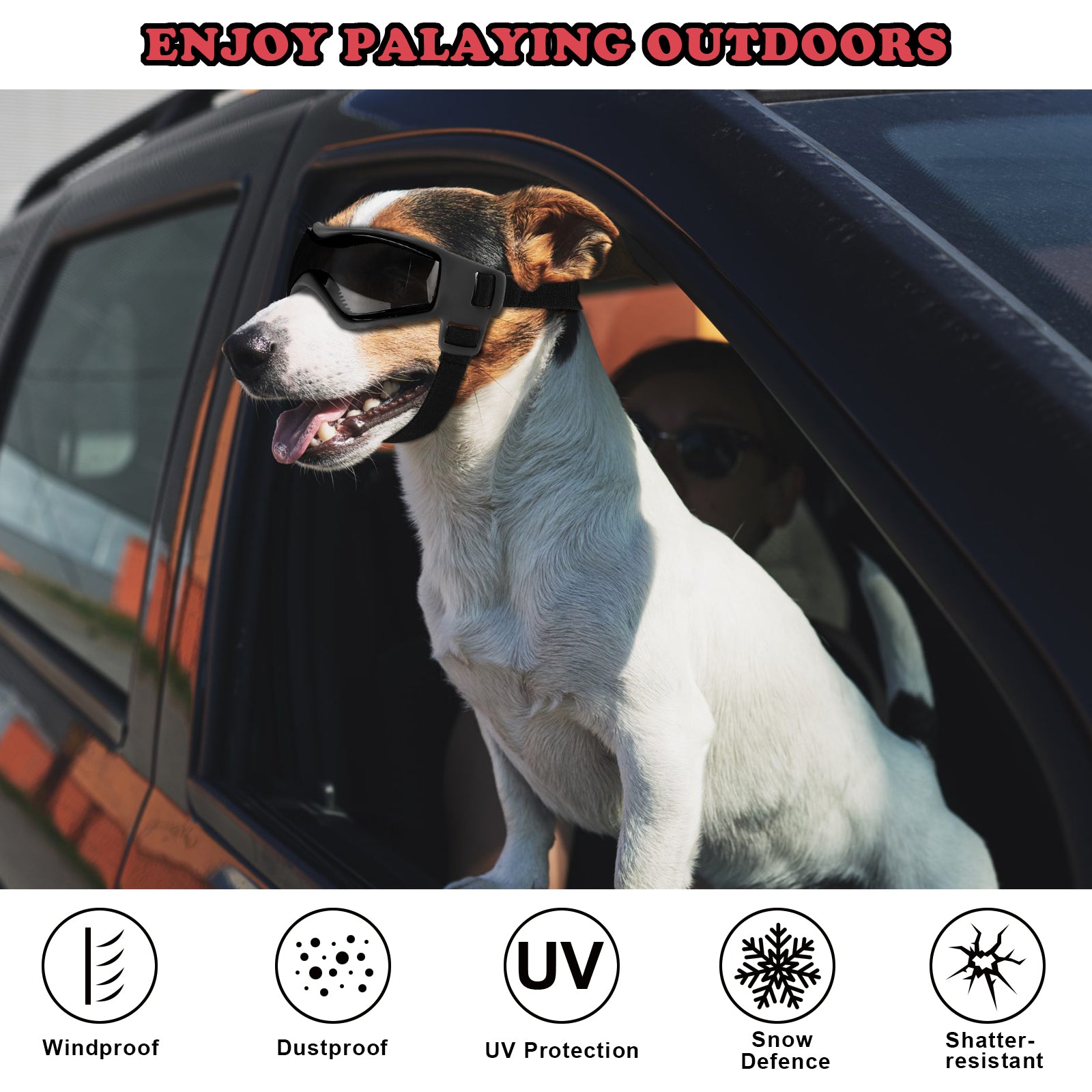 dog goggles for small dogs Ownpets Black Dog Goggles Dog Sunglasses, for Small and Medium Dogs