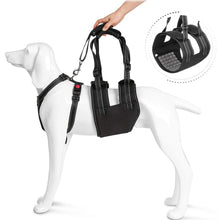 Carica l&#39;immagine nel visualizzatore di Gallery, Ownpets Dog Support Harness Set ( Large ), Rehabilitation Sling for Dogs Needing Help with Mobility or Balance
