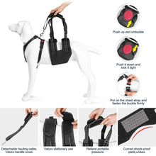 Load image into Gallery viewer, Ownpets Dog Support Harness Set ( Large ), Rehabilitation Sling for Dogs Needing Help with Mobility or Balance
