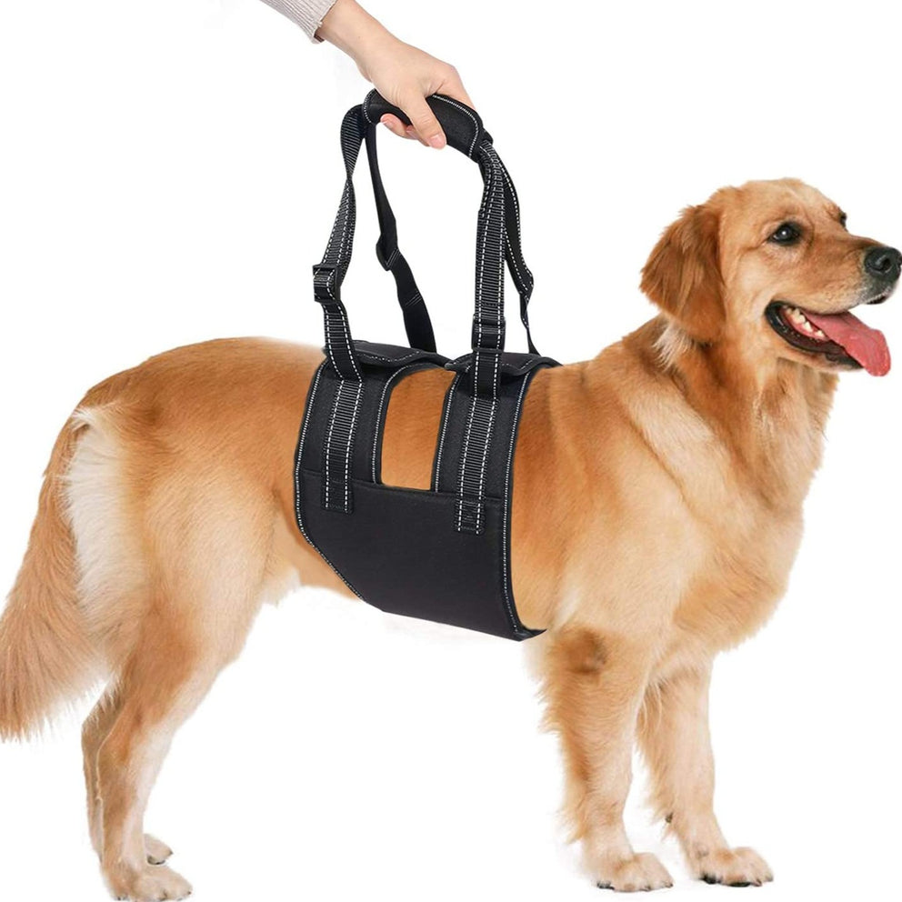 Ownpets Dog Lift Harness (XL Size), Adjustable Dog Support Rehabilitation Sling with Handle Sleeve, Ideal for Aged Dogs, Disable Dogs & Dogs Needing Help with Mobility or Balance