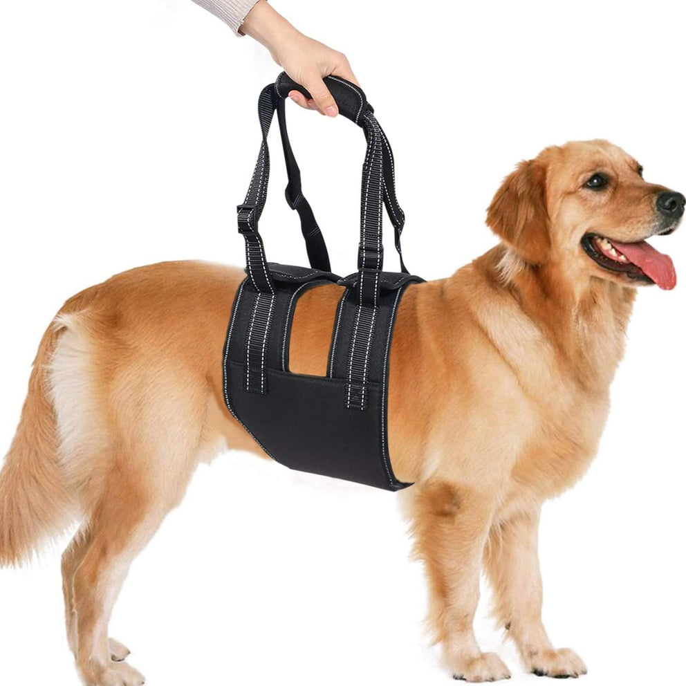 Ownpets Dog Lift Harness (L Size), Adjustable Dog Support Rehabilitation Sling with Handle Sleeve, Ideal for Aged Dogs, Disable Dogs & Dogs Needing Help with Mobility or Balance