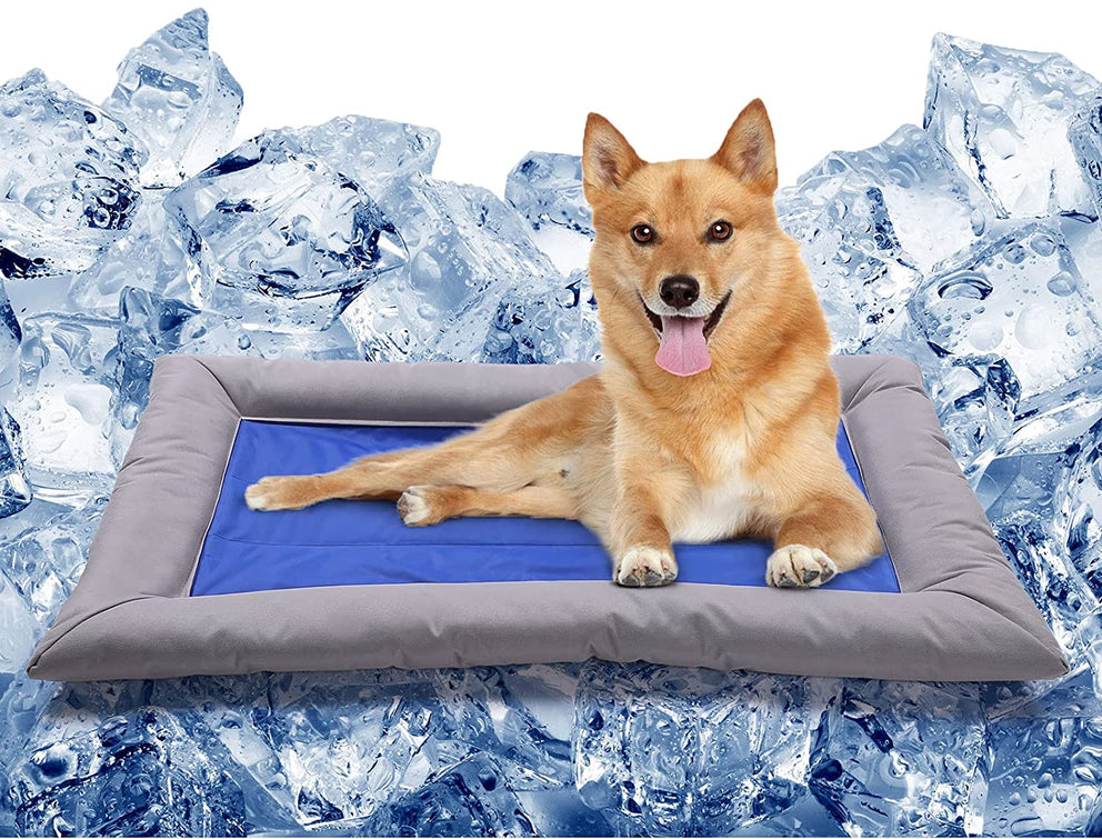 Ownpets lit de refroidissement pour chien grand tapis de refroidissement pour chien en mousse à mémoire de forme doux lit de coussin de Gel auto-refroidissant pour animaux de compagnie Durable, taille 35x22 pouces