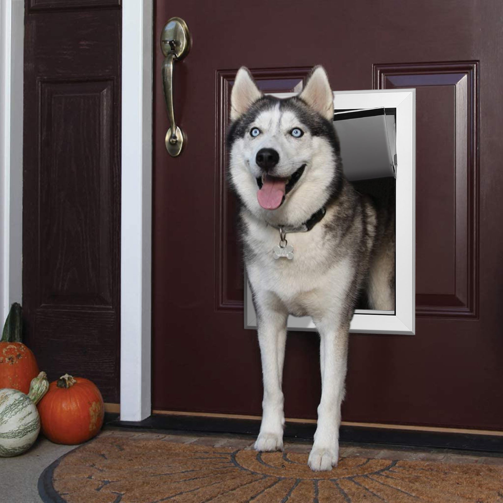 Ownpets Double Flaps Metal Dog Door Large Pet Door Aluminum