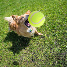 Carica l&#39;immagine nel visualizzatore di Gallery, Dog Tennis Balls 20 Pack Pet Tennis Ball for Small Dogs Premium Fetch Toy Non-Toxic Non-Abrasive Material
