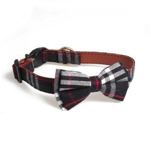 Load image into Gallery viewer, New Dog Collar Set
