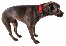 Charger l&#39;image dans la galerie, &#39;Aero Mesh&#39; Collier pour chien en maille réglable à 360 degrés, confortable et respirant
