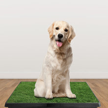 Carica l&#39;immagine nel visualizzatore di Gallery, Dog Potty Training Artificial Grass Pad Pet Cat Toilet Trainer Mat Puppy Loo Tray Turf
