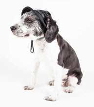 Charger l&#39;image dans la galerie, Chapeau de chien à bords en maille ajustable Uv Protectant
