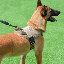 Lade das Bild in den Galerie-Viewer, Dog Harness; large dog training tactical chest strap; K9 pet chest strap; vest type reflective dog rope; explosion-proof impulse traction
