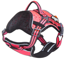 Load image into Gallery viewer, Dog Chest Compression Pet Harness and Leash Combo

